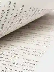 Продажное королевство, Бардуго Л.