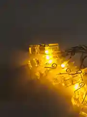 Лимонный led гирлянда, светодиодная