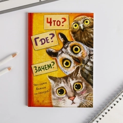 Ежедневник "Что? Где? Зачем?", А5, 80 листов