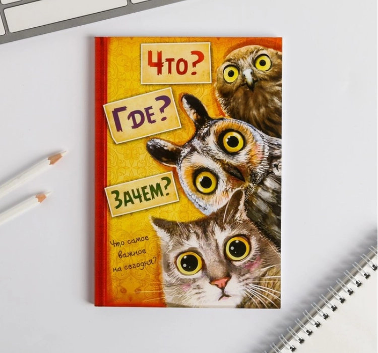 Ежедневник "Что? Где? Зачем?", А5, 80 листов