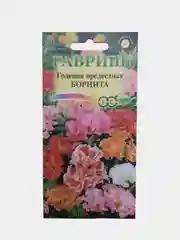 Годеция прелестная Борнита (семена гавриш)