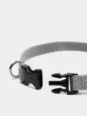Серый ошейник для кошек/собак 18-26 см/10мм STRONG DOG
