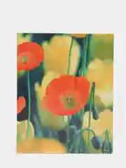 Зеленый фотоальбом на 200 фотографий, 10 х 15 см, разные виды