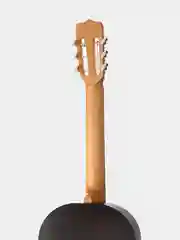 Гитара классическая Presto GC-BN20