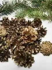 Шишки сосновые, цвет золото