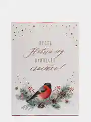 Алый коробка складная С НГ, 22 х 30 х 10 см