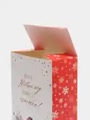 Алый коробка складная С НГ, 22 х 30 х 10 см