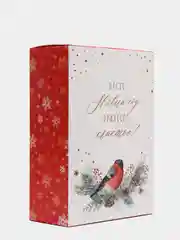 Алый коробка складная С НГ, 22 х 30 х 10 см