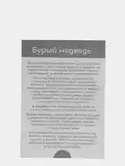 Лайм набор карточек по методике Глена Домана, в ассортименте