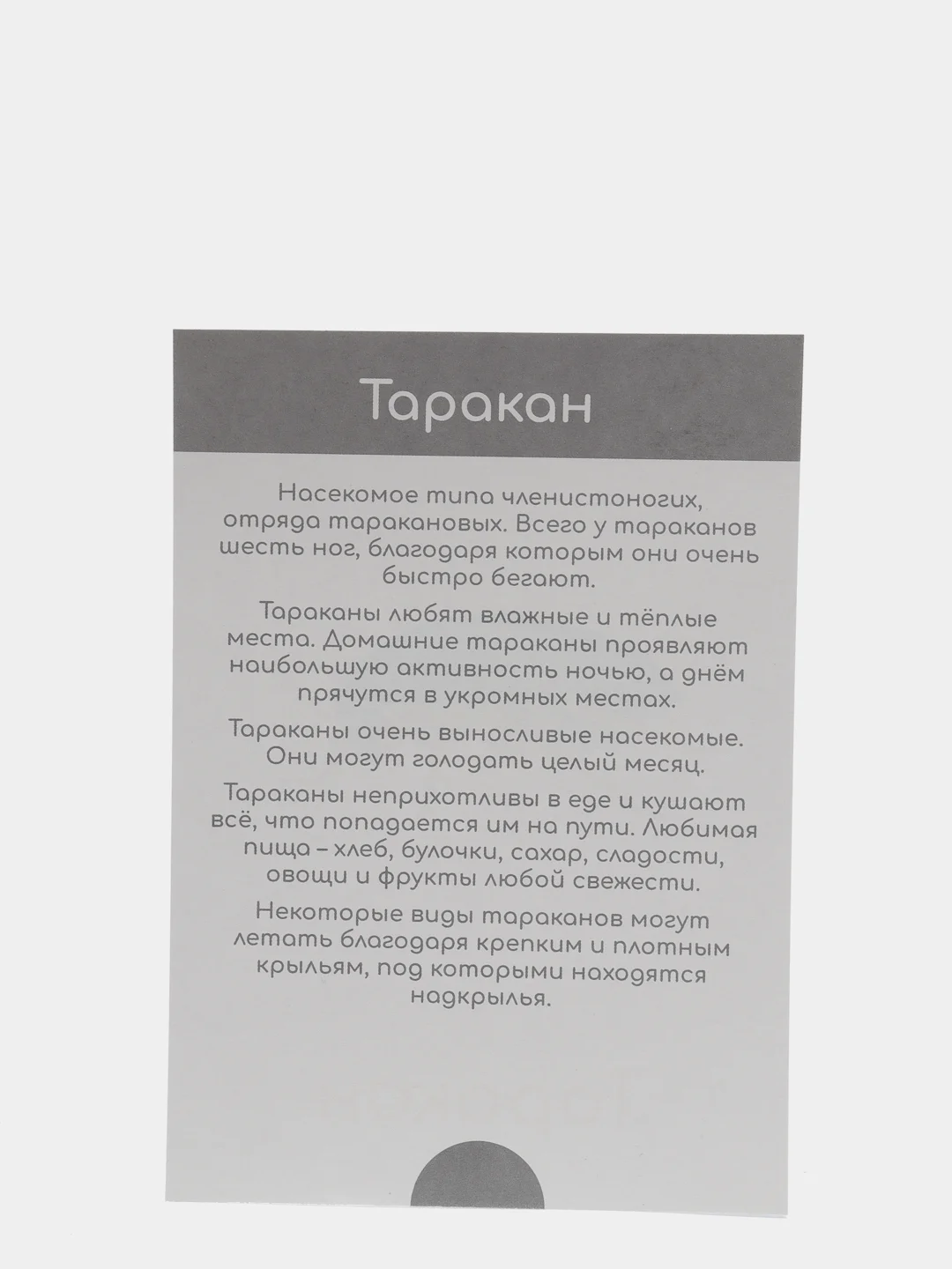 Оранжевый набор карточек по методике Глена Домана, в ассортименте