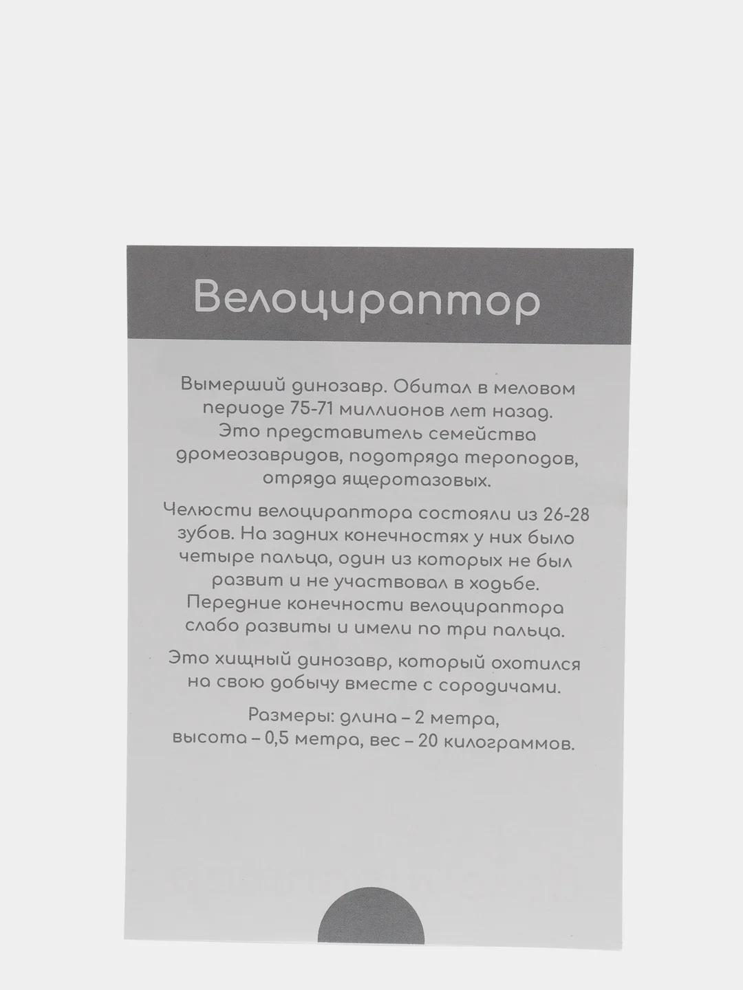 Тёмно-зелёный набор карточек по методике Глена Домана, в ассортименте