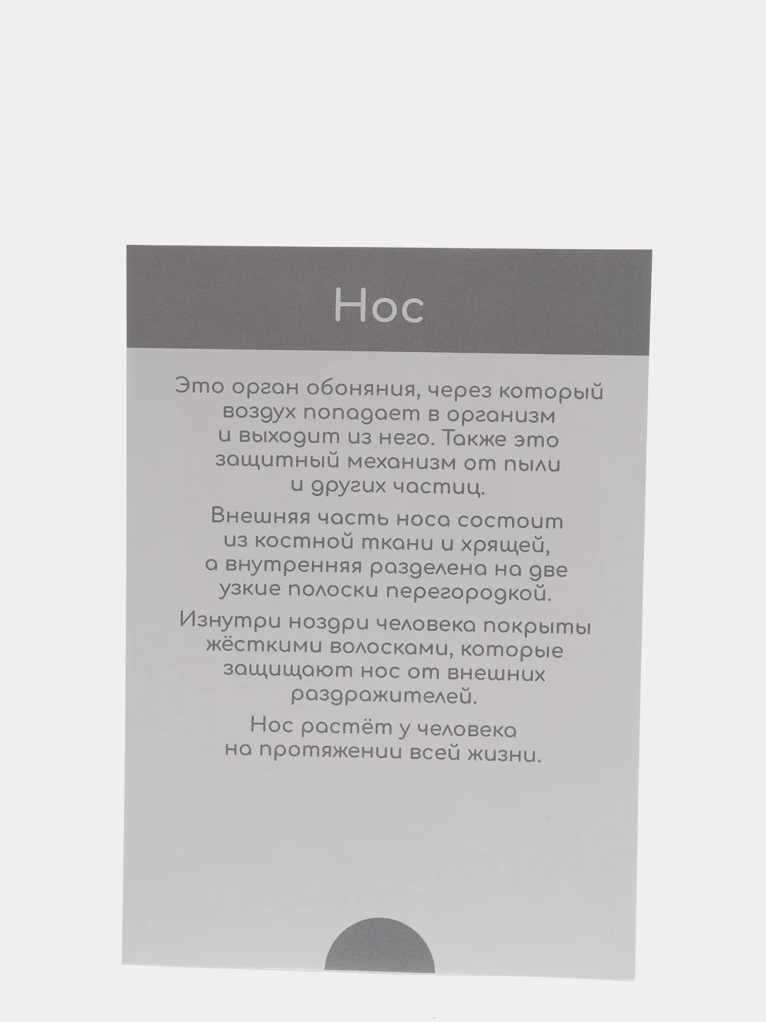 Бежевый набор карточек по методике Глена Домана, в ассортименте