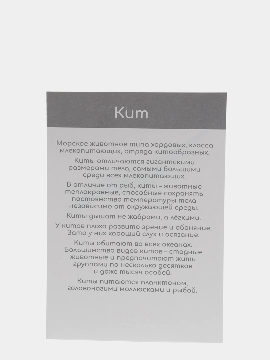 Фиолетовый набор карточек по методике Глена Домана, в ассортименте