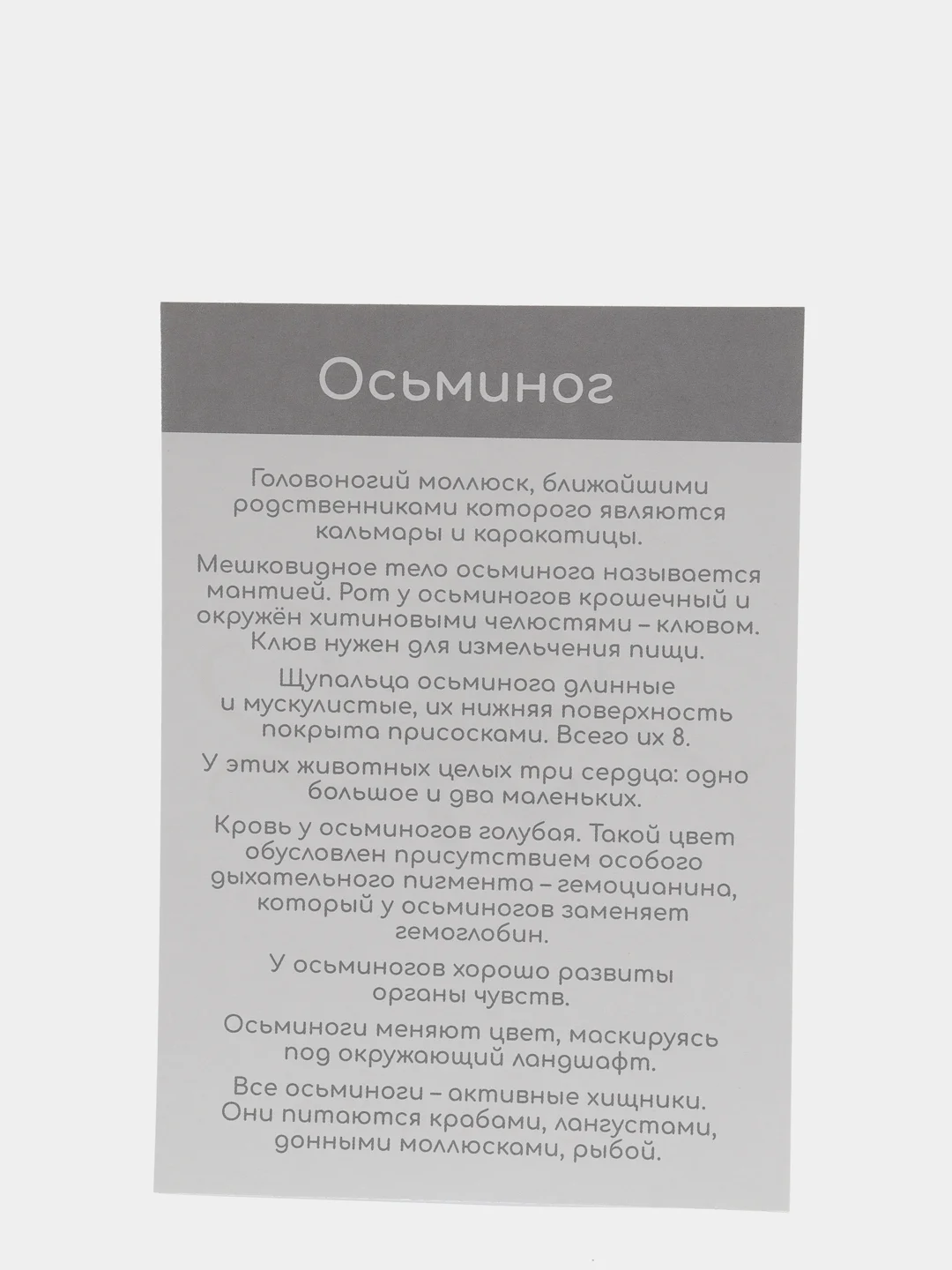 Фиолетовый набор карточек по методике Глена Домана, в ассортименте