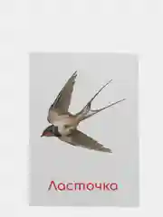 Лайм набор карточек по методике Глена Домана, в ассортименте
