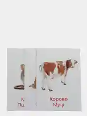 Алый набор карточек по методике Глена Домана, в ассортименте