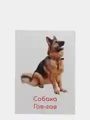 Алый набор карточек по методике Глена Домана, в ассортименте
