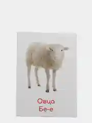 Алый набор карточек по методике Глена Домана, в ассортименте