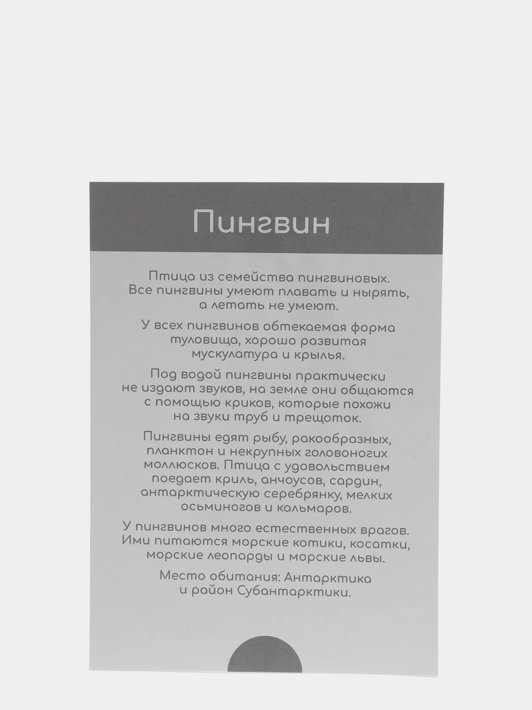 Морской набор карточек по методике Глена Домана, в ассортименте