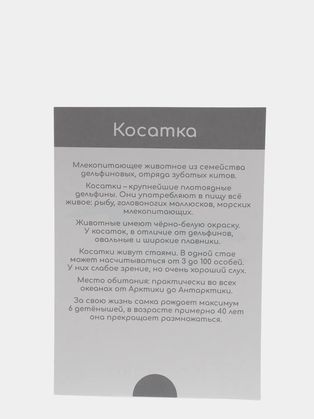 Морской набор карточек по методике Глена Домана, в ассортименте