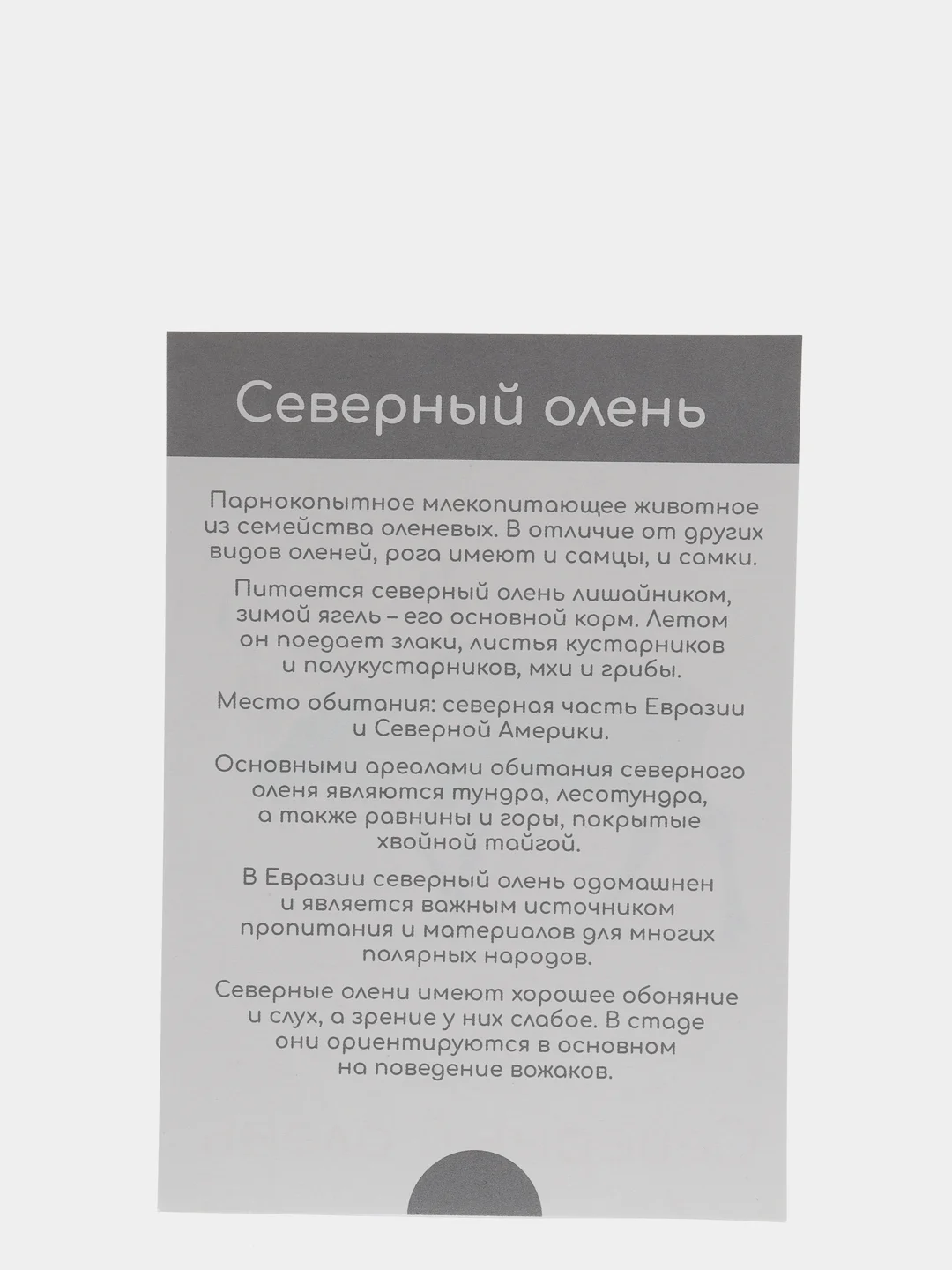 Морской набор карточек по методике Глена Домана, в ассортименте