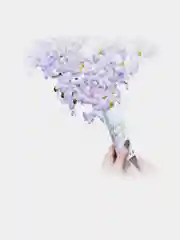 Лавандовый хлопушка КОНФЕТТИ