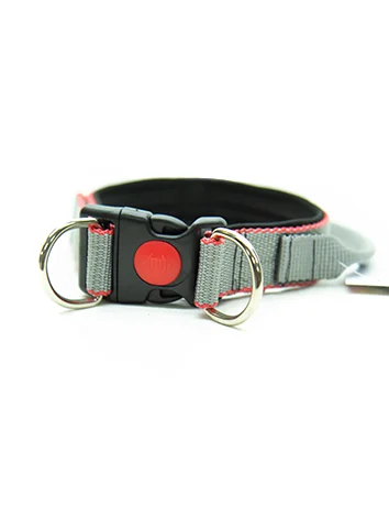 Ошейник капроновый для собак "Strong Dog" Fashion с ручкой, 35мм