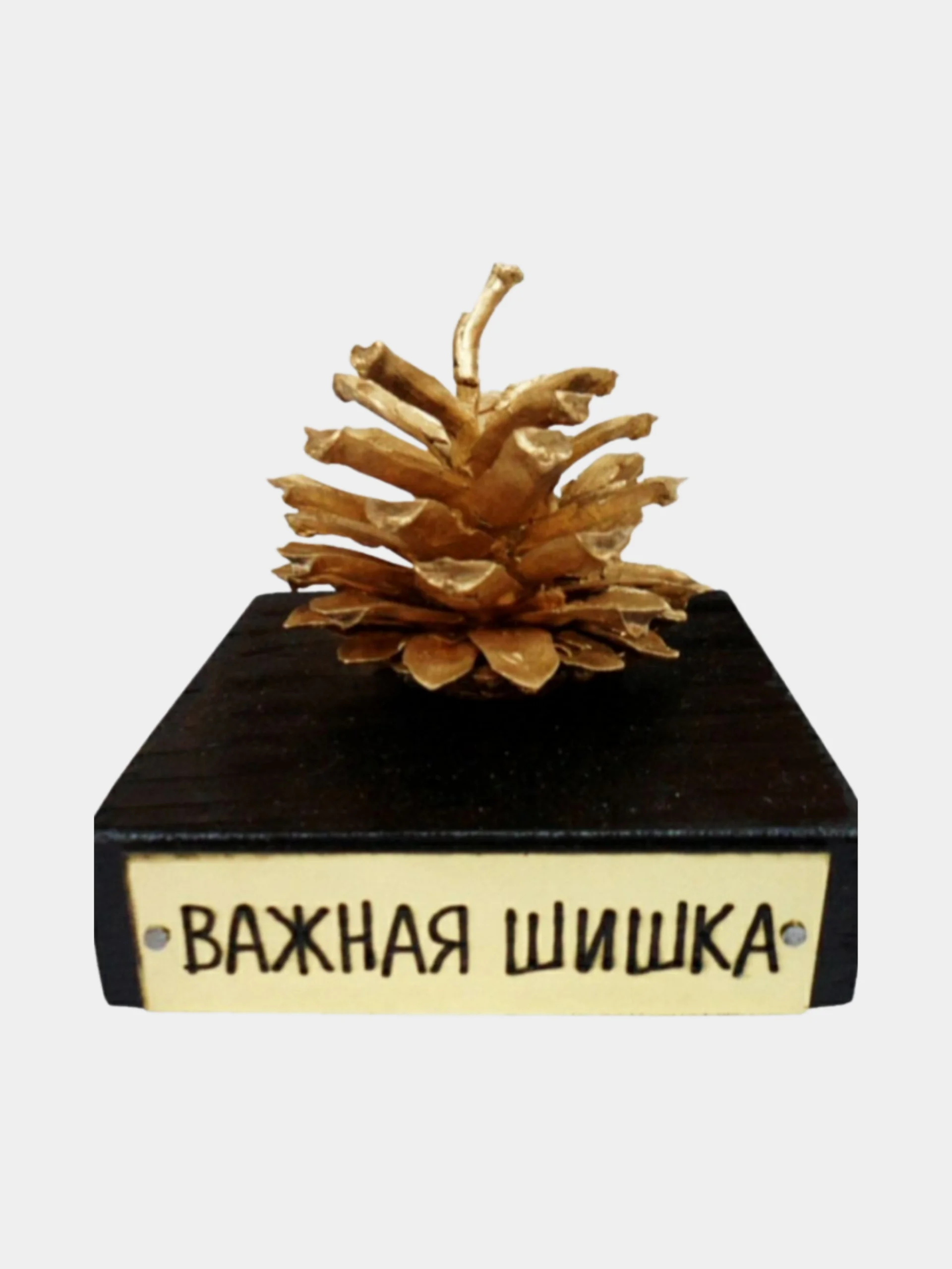 Сувенир мужчине, шишка подарочная
