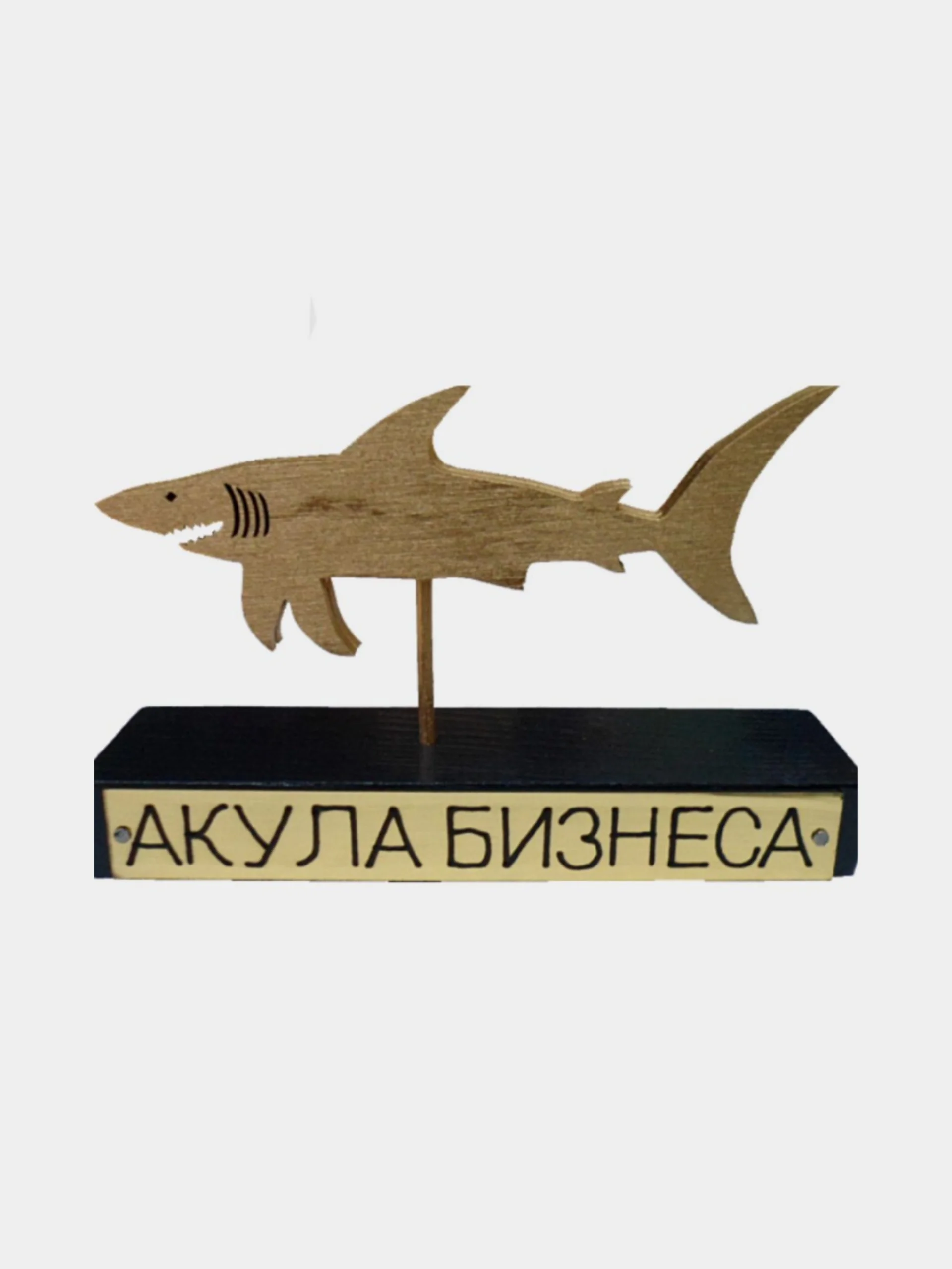 Сувенир мужчине, шишка подарочная