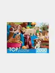 Аметистовый пазлы  1500 и 2000 элементов