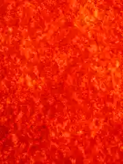 Светло-коричневый фетр 1 мм. 20*30см
