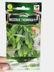 Огурец "Веселые гномики F1"