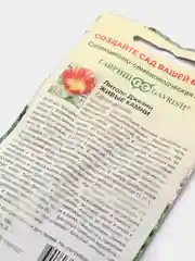 Семена цветы "Литопс Живые камни"