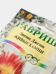 Семена цветы "Литопс Живые камни"