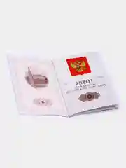 Обложка для паспорта