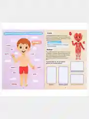 Наклейки "Как устроено моё тело", 16 страниц
