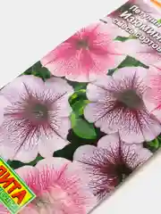 Петуния Изюминка (семена,цветы)