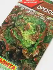 Салат Ореховый (семена)