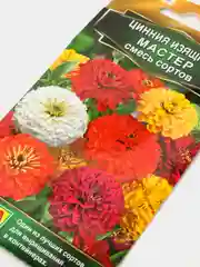 Цинния "Мастер", смесь, семена цветов