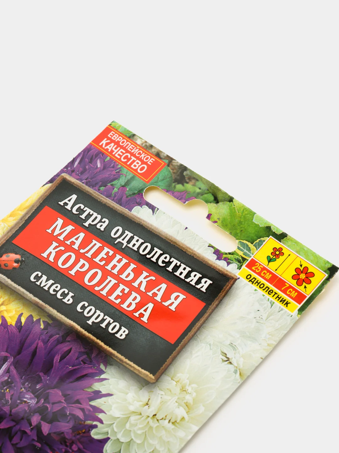 Семена цветов Астра "Маленькая королева"