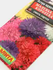 Семена цветов Астра "Маленькая королева"