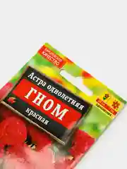 Семена цветов Астра красная "Гном"