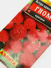 Семена цветов Астра красная "Гном"