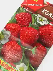 Земляника Кокетка (семена)