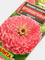 Семена цветов Цинния "Крупноцветковая розовая"
