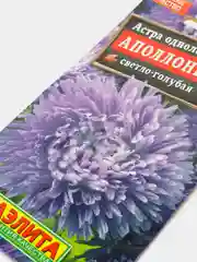 Семена цветов Астра "Аполлония светло-голубая"