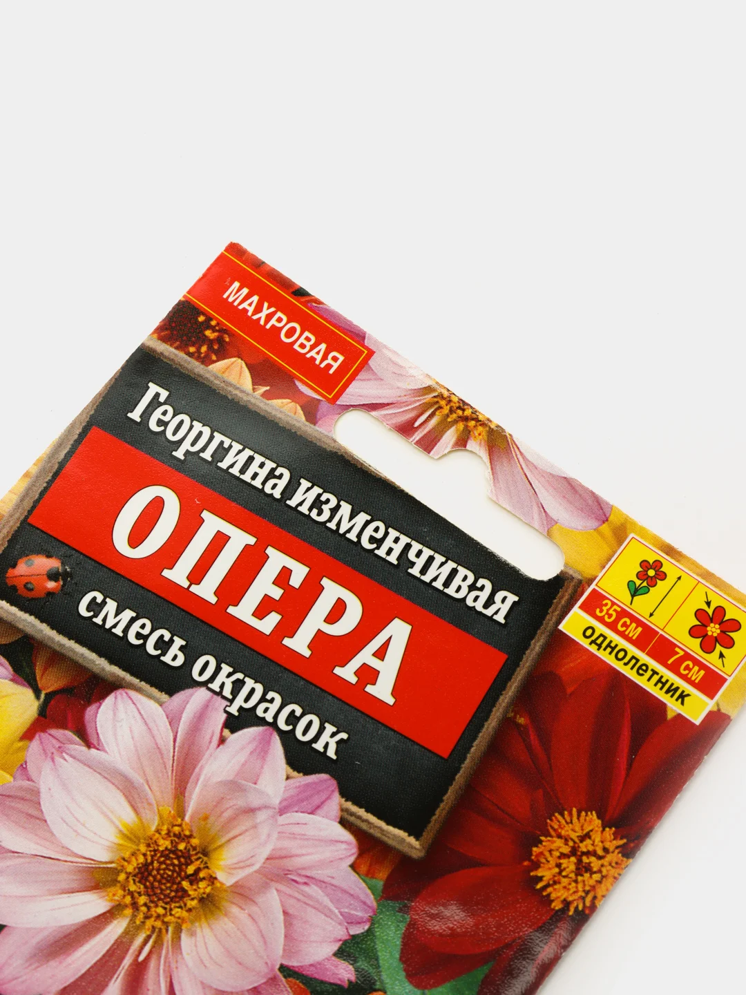 Георгина Опера (семена,цветы)