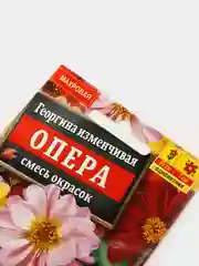 Георгина Опера (семена,цветы)