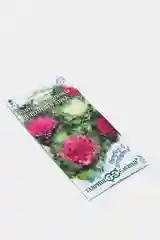 Капуста декоративная Морозные узоры (семена,цветы)
