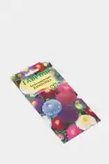 Семена цветов Астра "Пампушка"